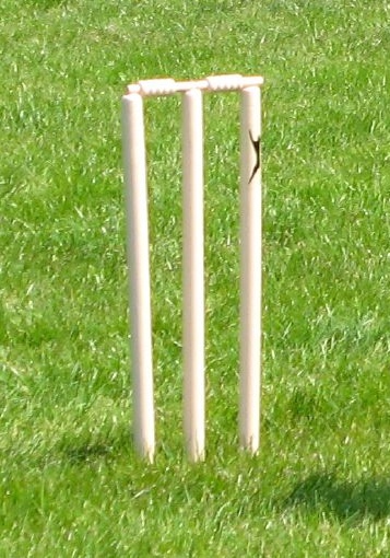 cricket game rules