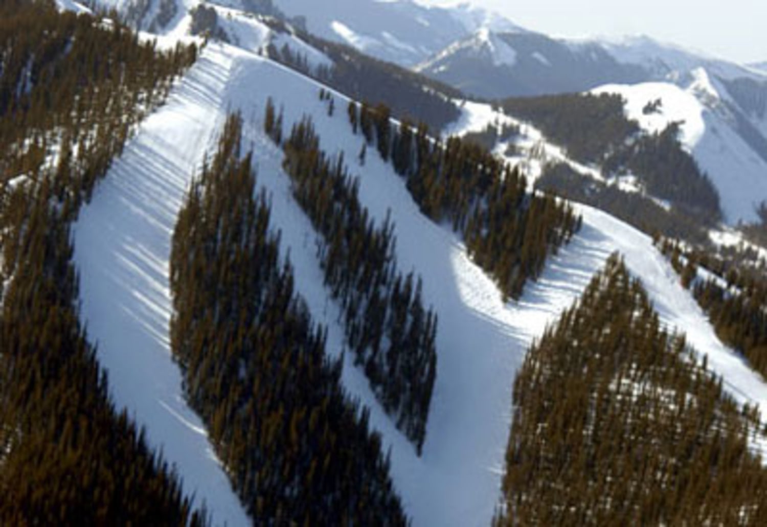 alpine skiing game