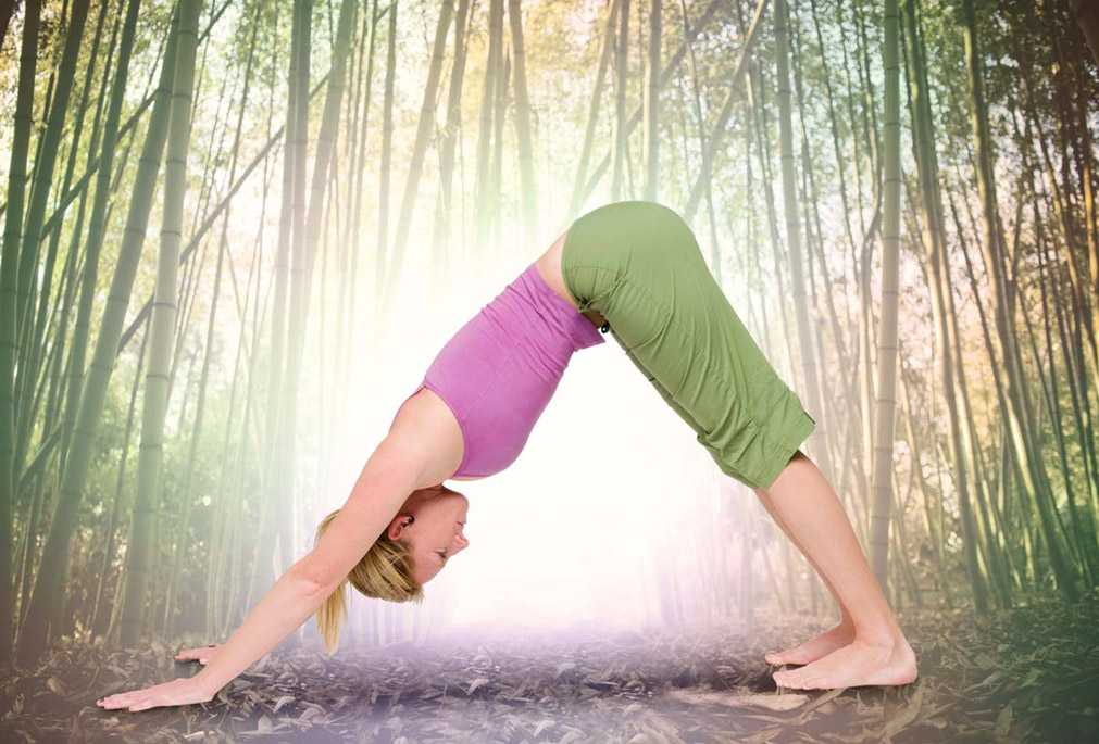 yoga for beginners over 60 free