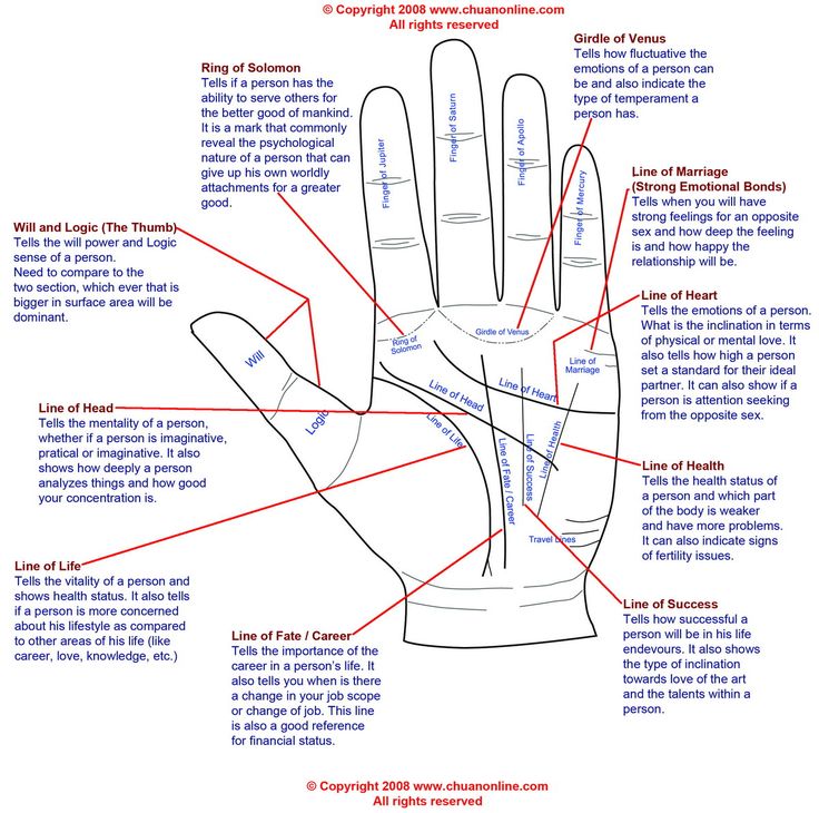 palm reading lines meaning pdf