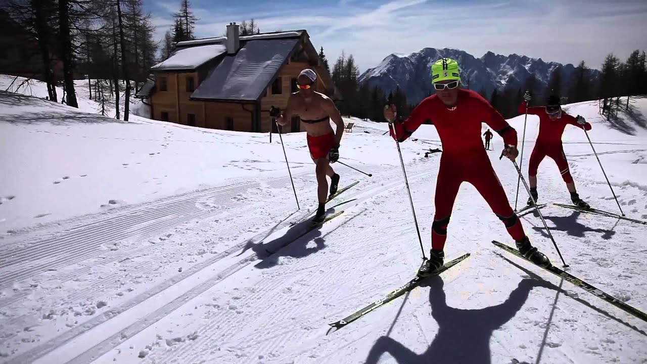 alpine skiing definition