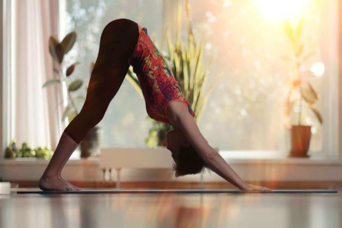 yoga for beginners seniors free