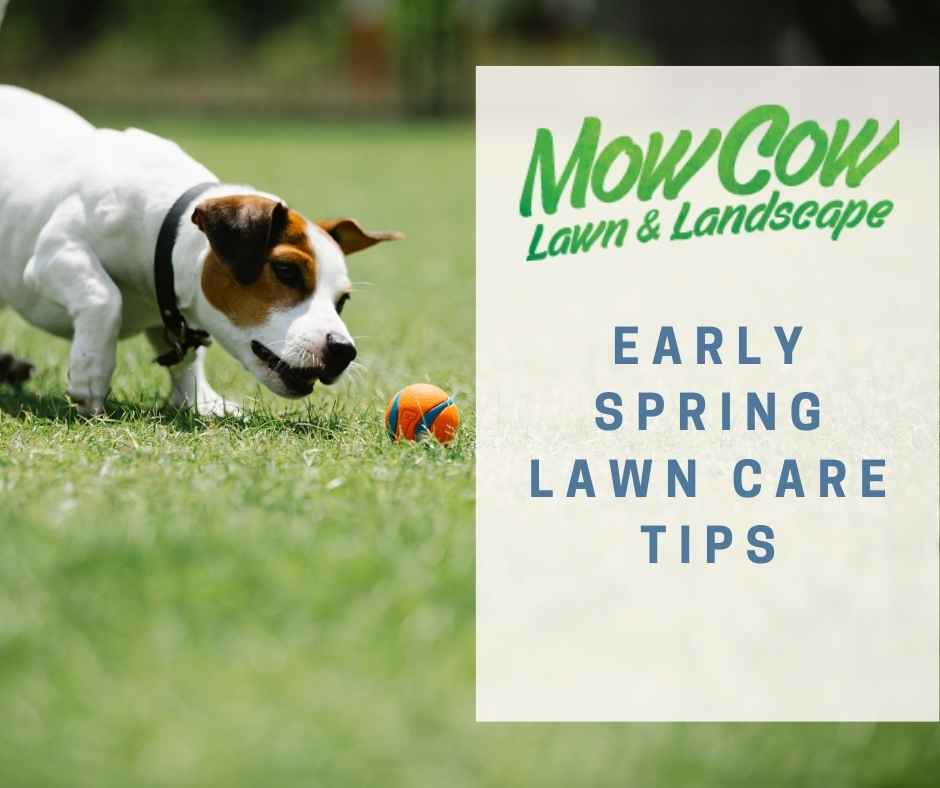spring gardening tips 2021