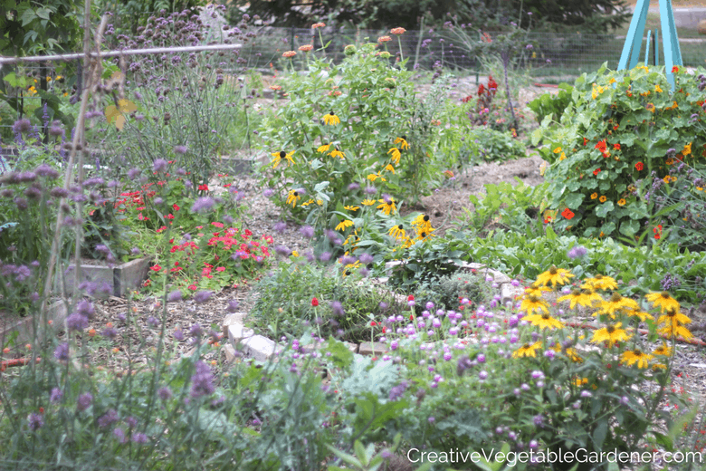 herb gardening for beginners