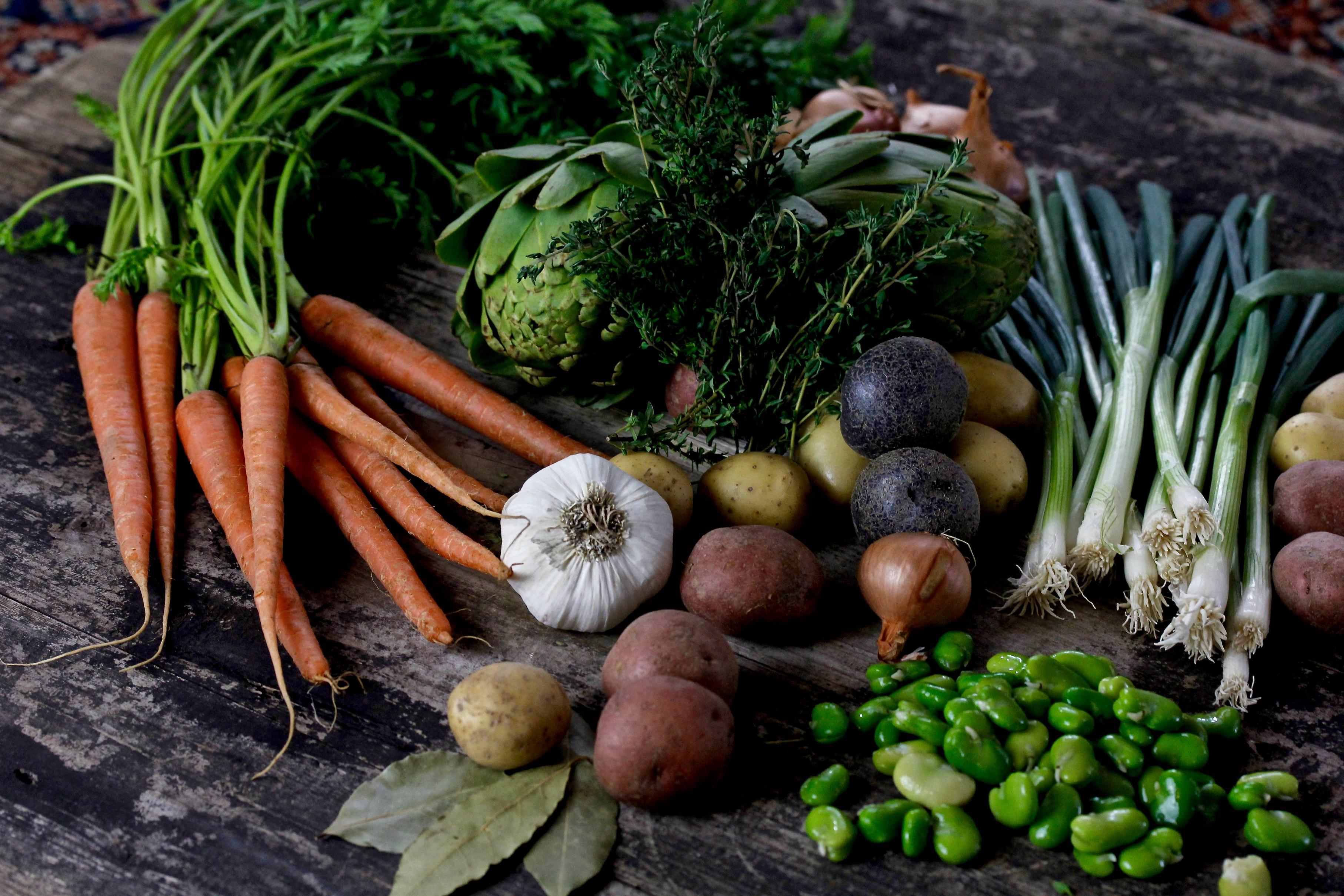 The Year Round Vegetable Gardener and Groundbreaking Food Gardens by Niki Jabbour
